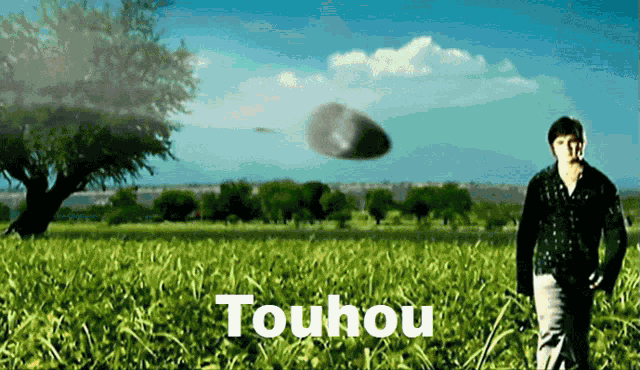 Touhou Meme GIF