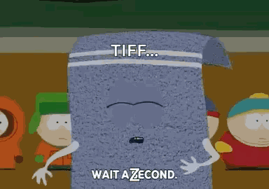 Towelie Southpark GIF