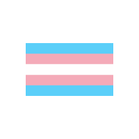 Trans Trans Flag Sticker