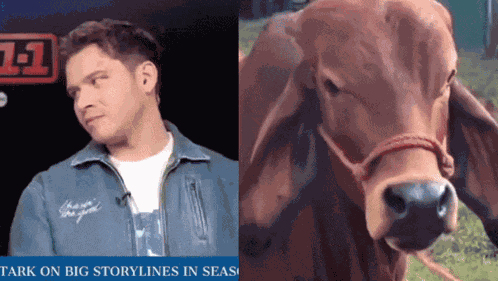 Transbuck Oliver Stark GIF