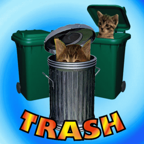 Trash Cats GIF