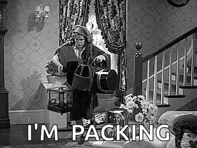Travel Late GIF