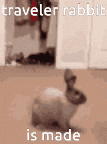 Traveler Cute GIF