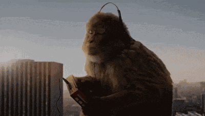 Travis Scott Monkeys GIF