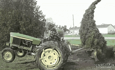 Tree Attack GIF