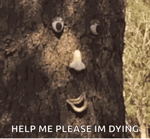 Tree Blink GIF