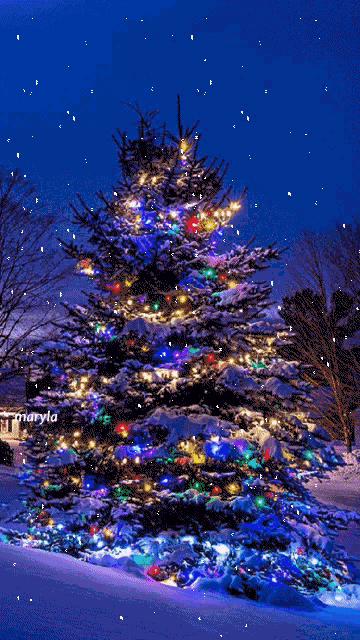 Tree Lights Tree GIF