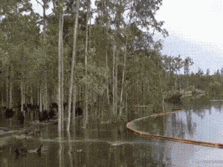 Trees Falling GIF