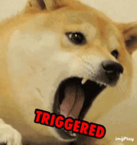 Triggered Dogememe GIF