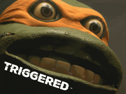 Triggered Ninjaturtle GIF
