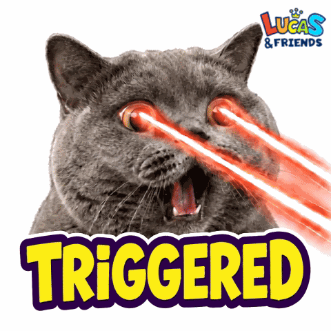 Triggered Triggered Cat GIF