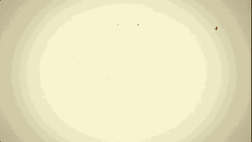 Trinity Bomb Nuclear Weapon GIF