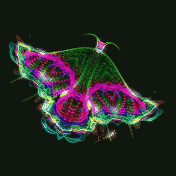 Trippy Jellyfish GIF