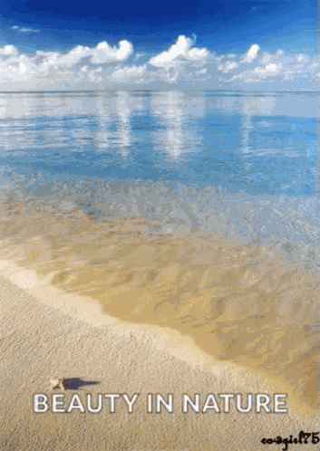 Tropical Beach GIF