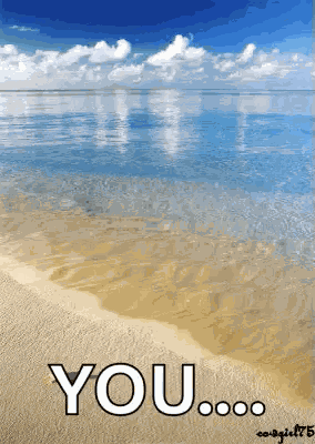 Tropical Beaches GIF