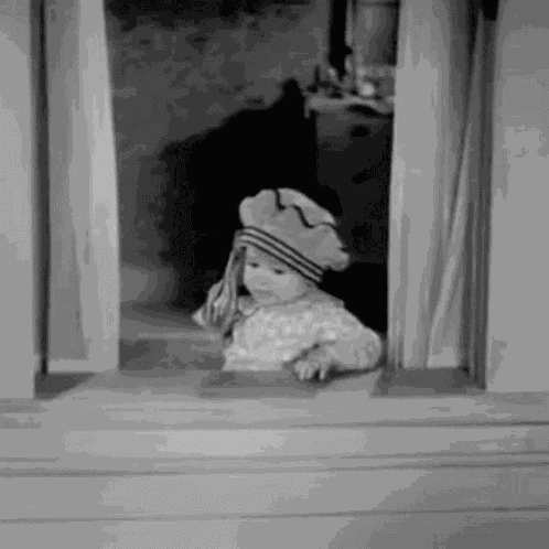 Tropicalnorseman Hoberg GIF
