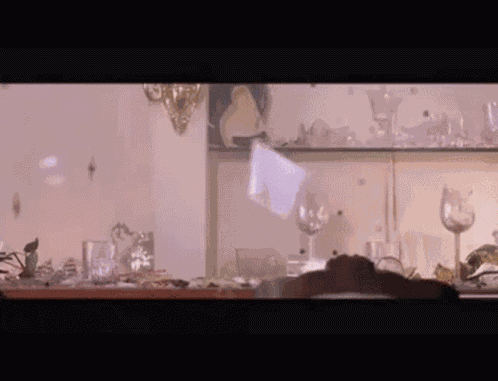 Truce Stop Fighting GIF