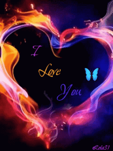 True Love Life GIF