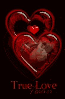 True Love True Love Quotes GIF