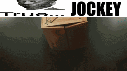 True Meme True Jockey GIF
