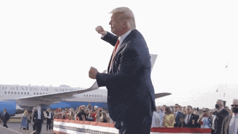 Trump Dance GIF