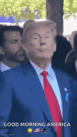 Trump Donald Trump GIF