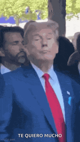 Trump Donald Trump GIF