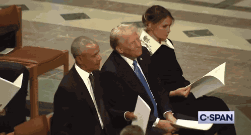 Trump Donald Trump GIF