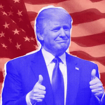 Trump Donald Trump GIF