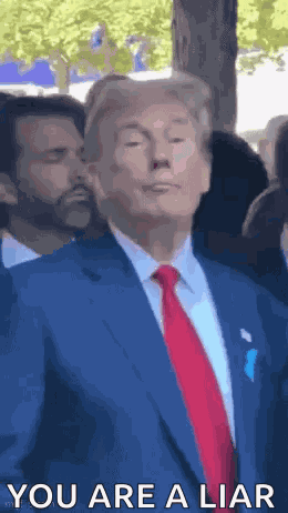 Trump Donald Trump GIF
