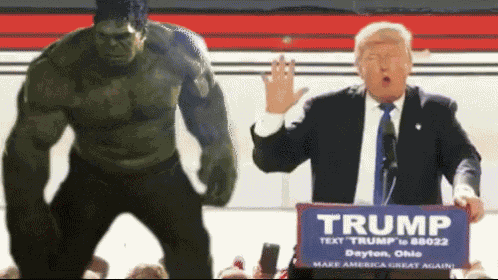 Trump Donald Trump GIF