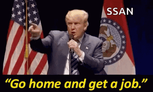 Trump Donald Trump GIF