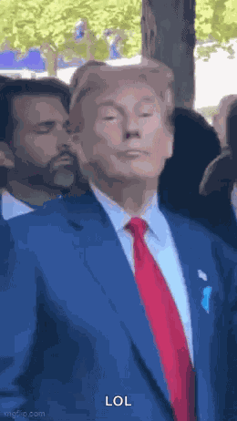 Trump Donald Trump GIF