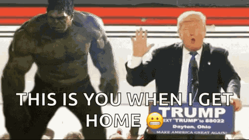 Trump Donaldtrump GIF