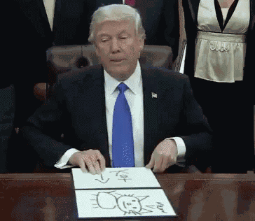 Trump Drawing GIF