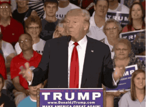 Trump Excited GIF