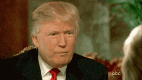 Trump Hairline GIF