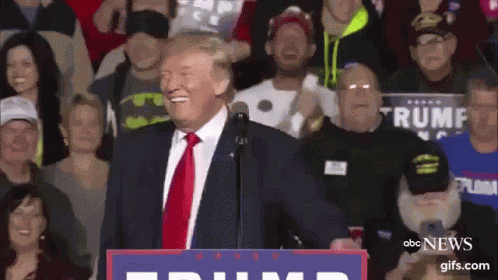 Trump Its True GIF