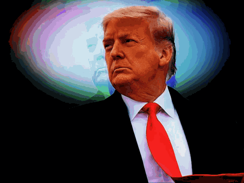 Trump Maga GIF
