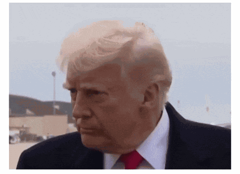 Trump Microphone GIF