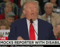 Trump Mocking Disabled GIF