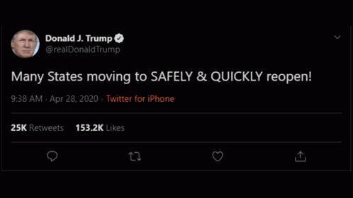 Trump President GIF