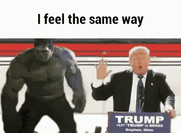 Trump Punch GIF