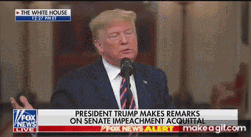 Trump Remarks GIF