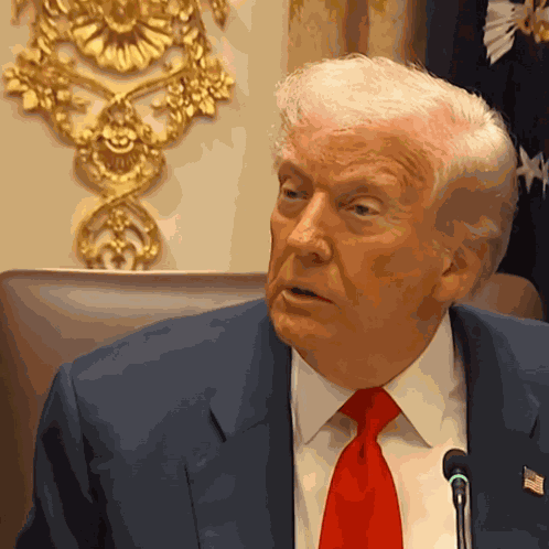 Trump Shhh Trump Hush GIF