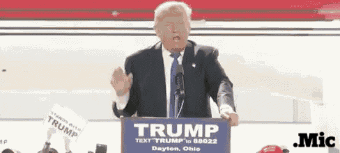 Trump Surprise GIF