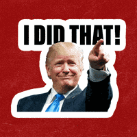Trump Trump Epstein GIF