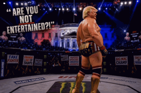 Trump Ufc GIF