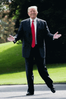 Trump Win Trump Backflip GIF