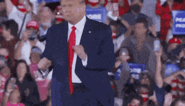 Trump Wins Trump 2024 GIF